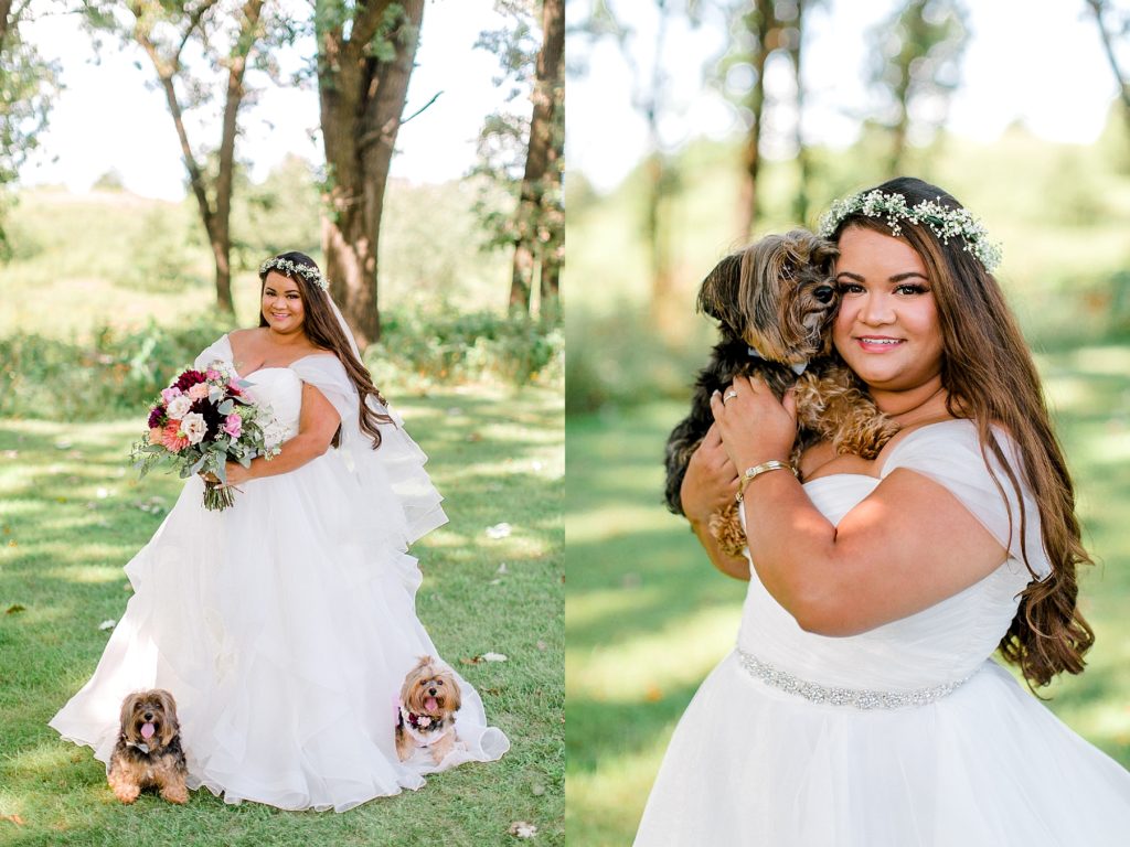 Bride with dogs at Almquist Farm
